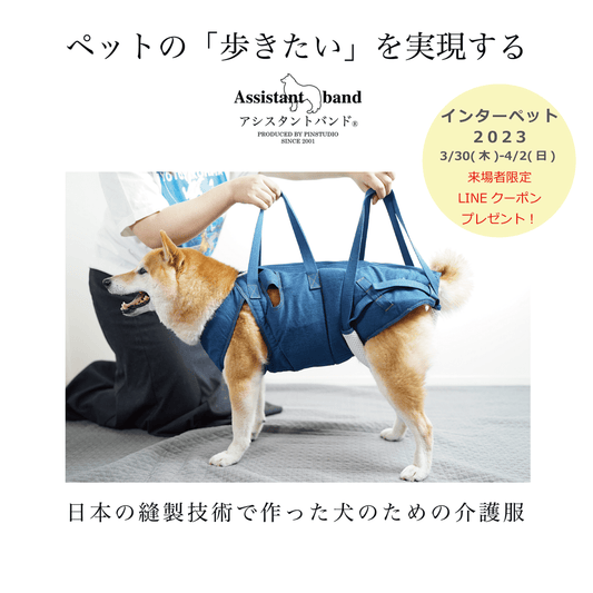 インターペット2023(東京ビックサイト)出展のお知らせ - PINSTUDIO Pet & Photo