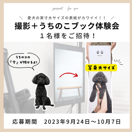いぬのまどぐち様とのコラボレーションによるうちのこブックキャンペーンのお知らせ - PINSTUDIO Pet & Photo