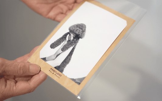 【重要】セルフ写真サービス、一時予約停止のお知らせ - PINSTUDIO Pet & Photo