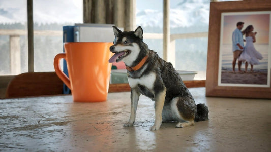 【Pet & 3D】ペットの3Dスキャン&フォトリアル3DCG動画無料体験キャンペーン開催 2024年9月30日まで! - PINSTUDIO Pet & Photo