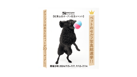 【Pet & Photo】紅葉山セルフ写真スタジオオープン記念イベント開催 7/5〜7/14(金-日) - PINSTUDIO Pet & Photo