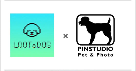Web3.0アプリを提供するLOOTaDOG 様とのコラボレーションによるQRコードの設置のお知らせ - PINSTUDIO Pet & Photo