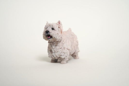 Westie(ウェスティ) - PINSTUDIO Pet & Photo