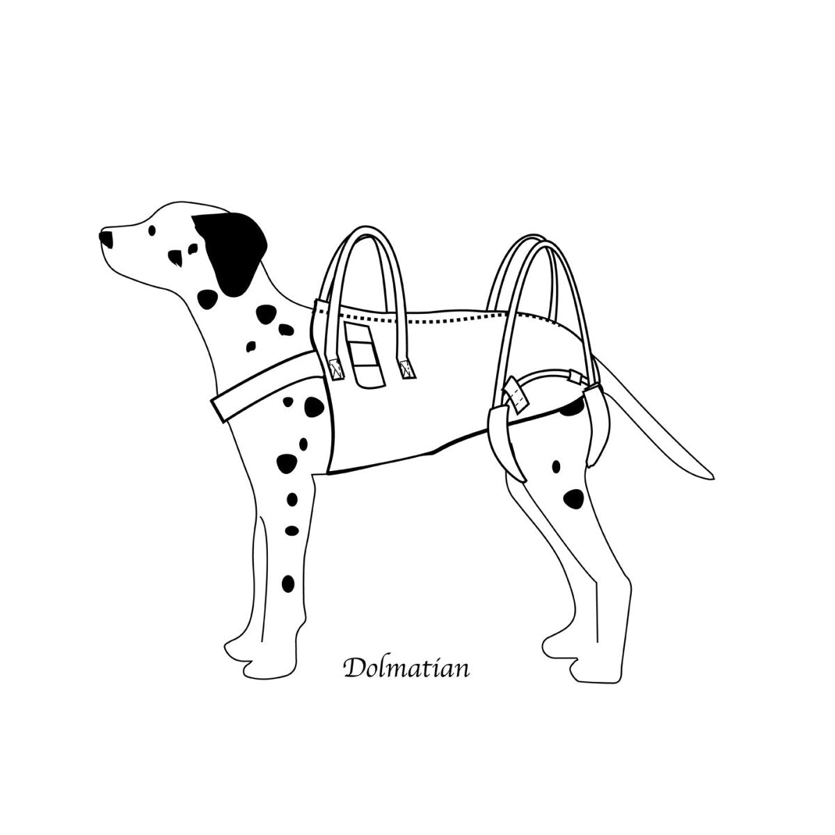 【持ち手1+後足サポート】アシスタントバンド (紺茶チェック)~犬の介護歩行補助ハーネス - PINSTUDIO Pet & Photo