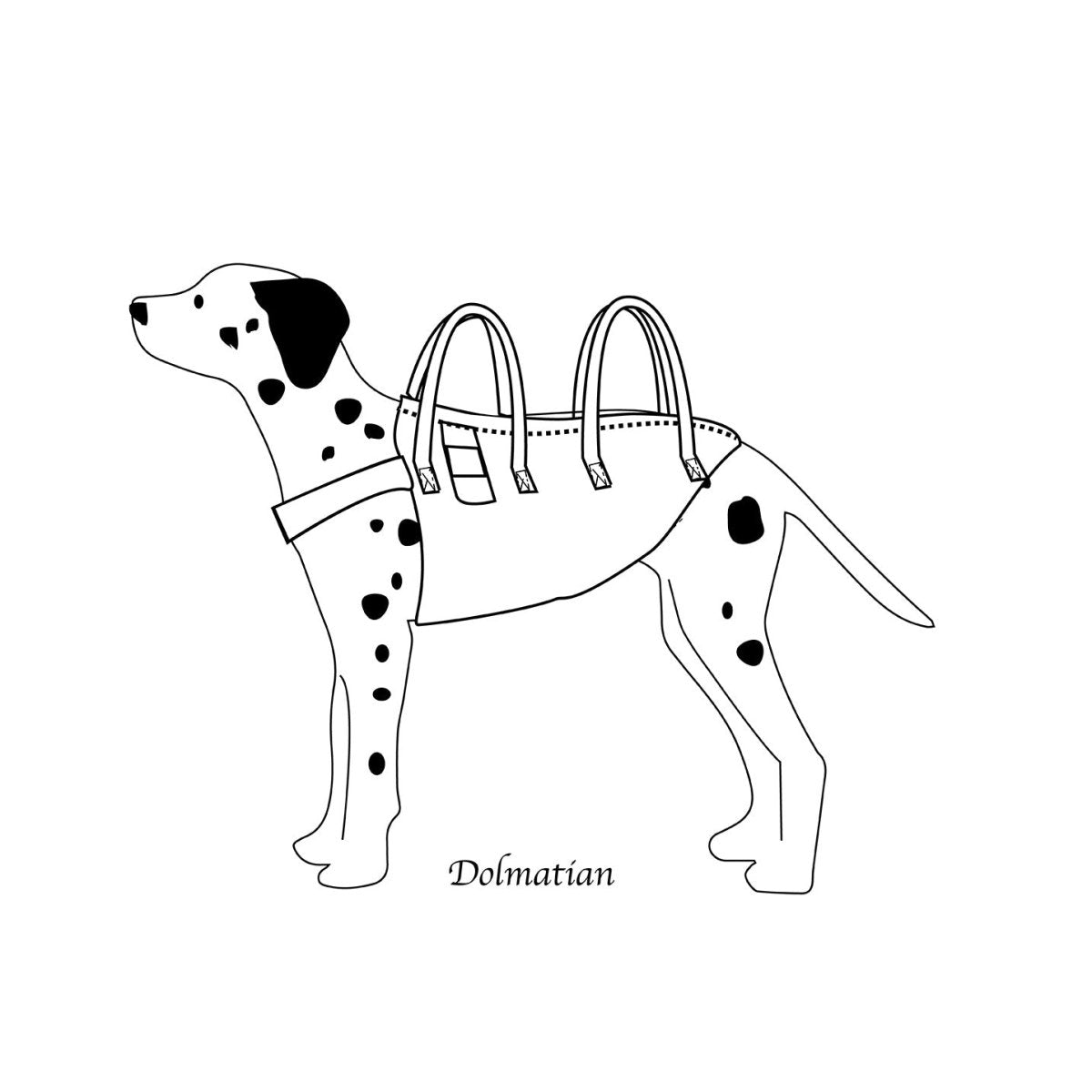 【持ち手2】アシスタントバンド/中大型犬用 (紺茶チェック)~犬の介護歩行補助ハーネス - PINSTUDIO Pet & Photo