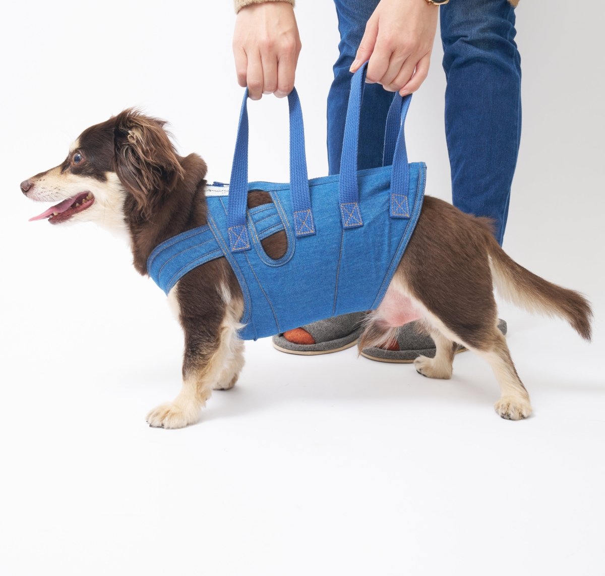 【持ち手2】アシスタントバンド/ (国産デニム)~犬の介護歩行補助ハーネス - PINSTUDIO Pet & Photo