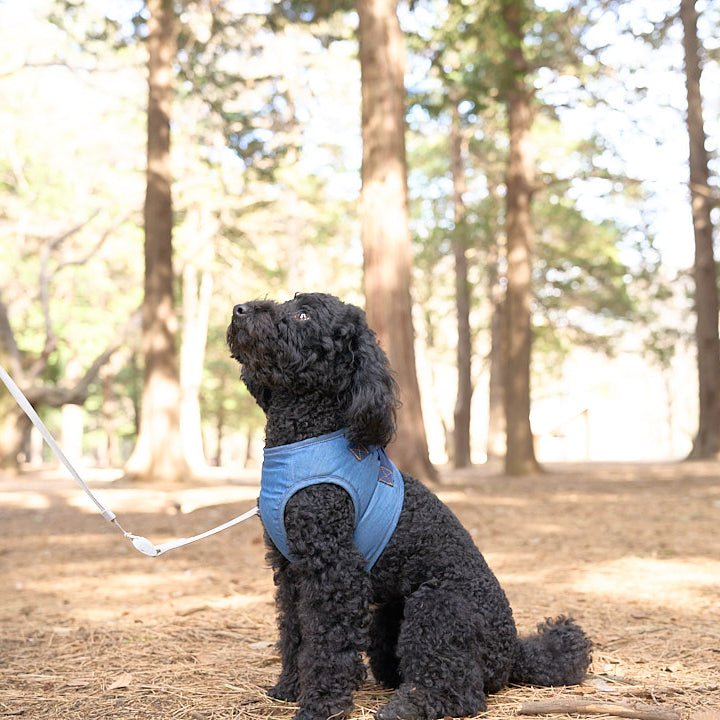 青森ひばの消臭ミスト 300mL - PINSTUDIO Pet & Photo