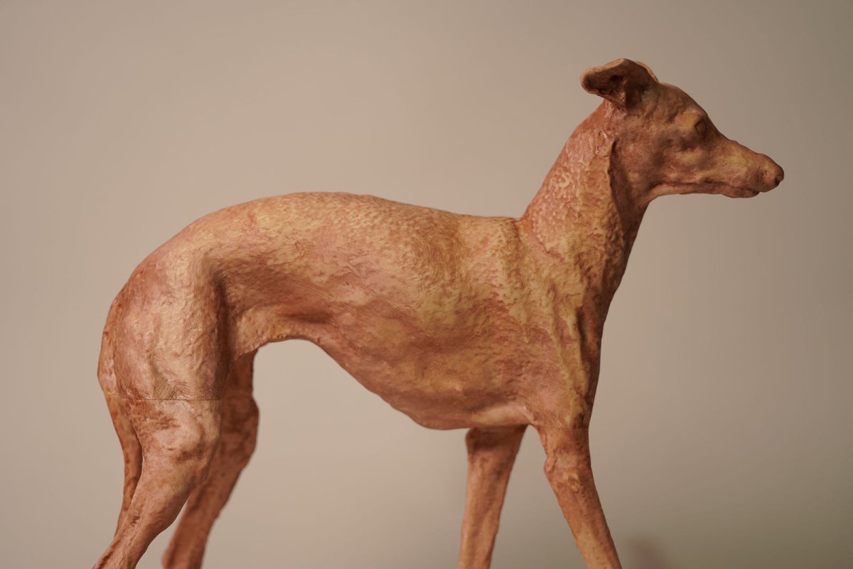 Pet & 3D ペットの3Dスキャン (東中野) - PINSTUDIO Pet & Photo