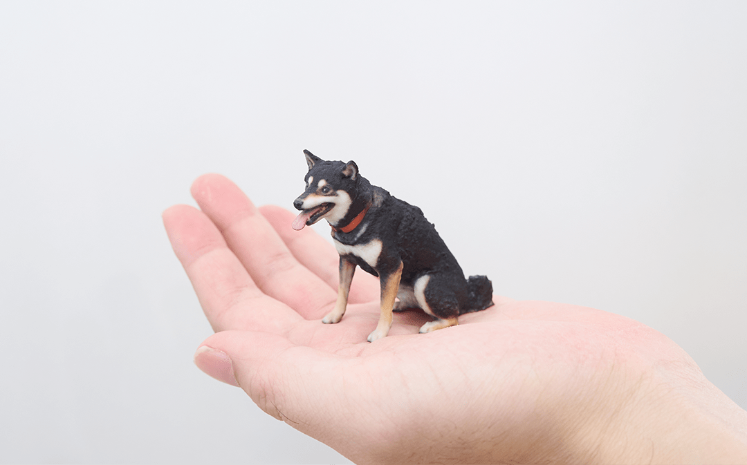 Pet & 3D ペットの3Dスキャン (東中野) - PINSTUDIO Pet & Photo
