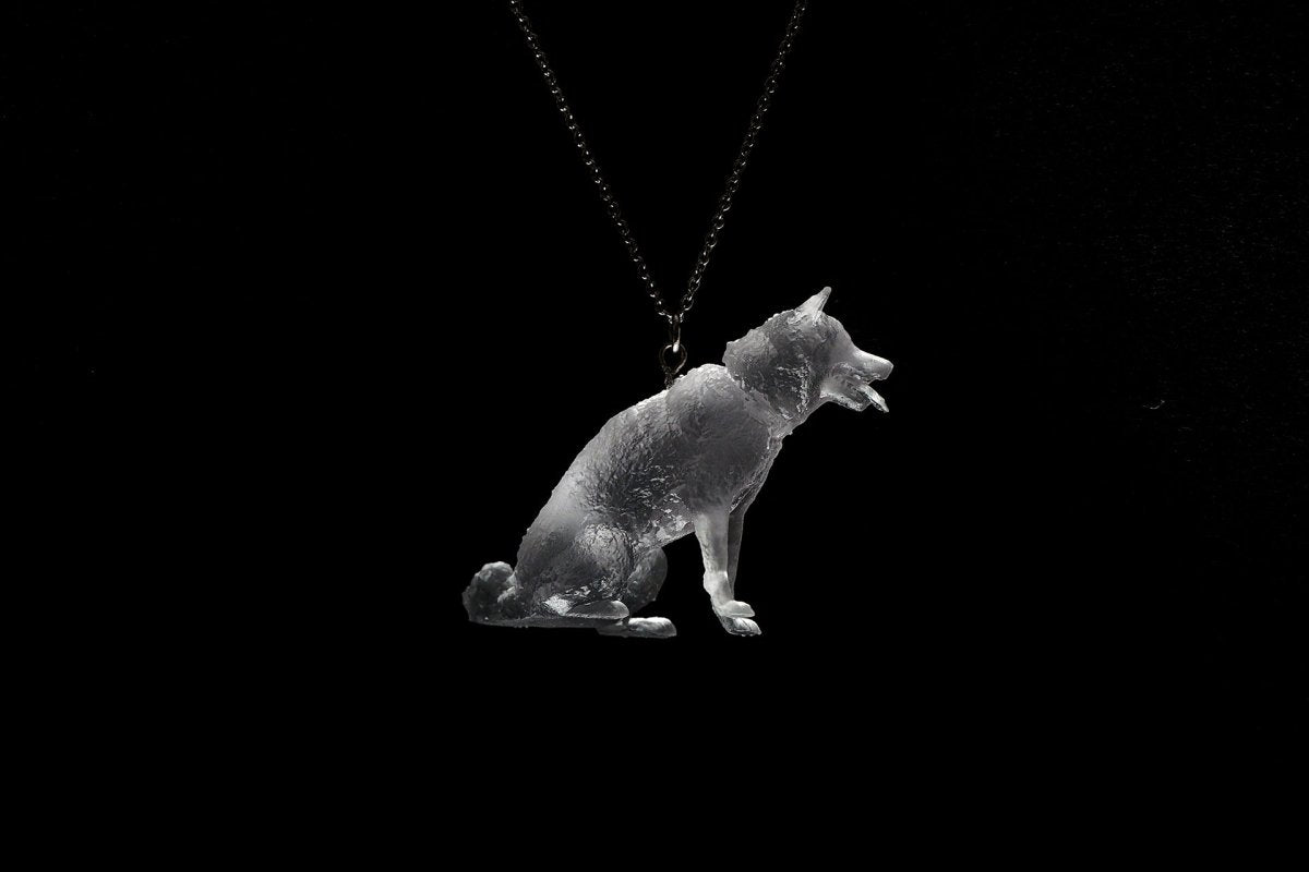 Pet & 3D | ペットの3Dフィギュア/3Dスキャン (東京都中野区) - PINSTUDIO Pet & Photo