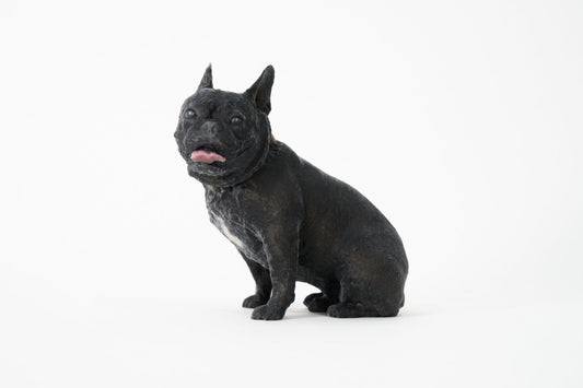 french bulldog - PINSTUDIO Pet & Photo