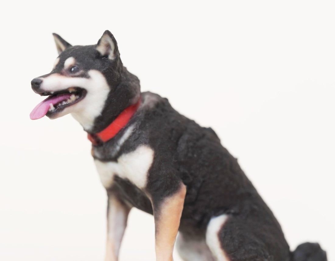 お客様から喜びの声を多数いただいております！ - PINSTUDIO Pet & Photo