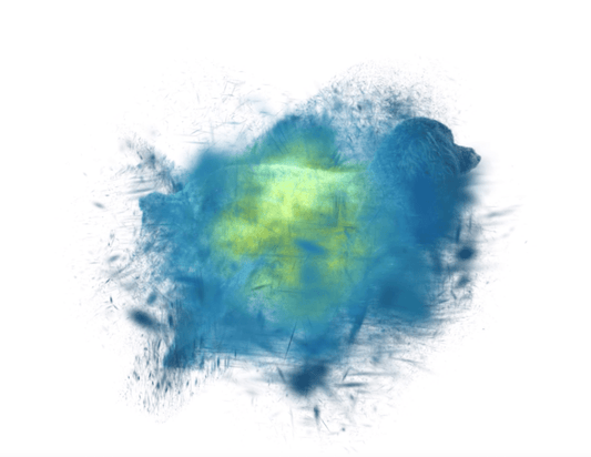 今までにない臨場感！“動く写真”で愛犬との瞬間をもっとリアルに - PINSTUDIO Pet & Photo