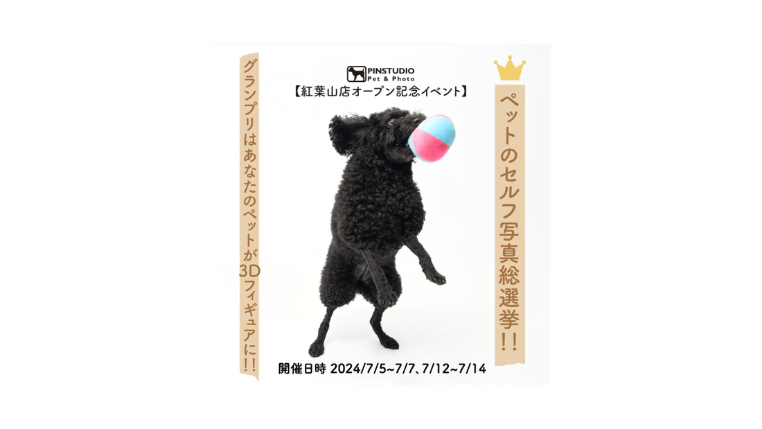 【Pet & Photo】紅葉山セルフ写真スタジオオープン記念イベント開催 7/5〜7/14(金-日) - PINSTUDIO Pet & Photo