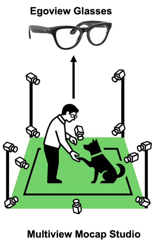 愛犬の"動き"が、科学になる日─世界初の研究にPINSTUDIOが協力しました - PINSTUDIO