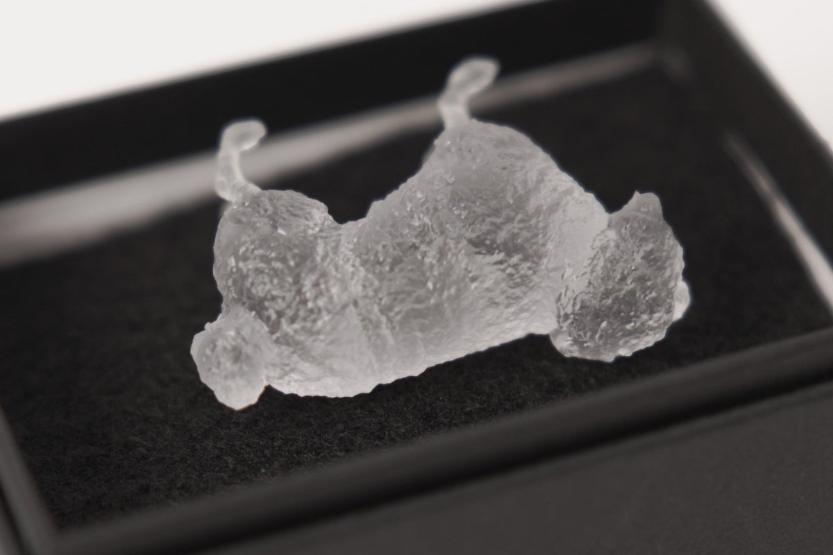 【3D Scan Art Series】トイプードル - Transparent Model (4cm) - PINSTUDIO Pet & Photo