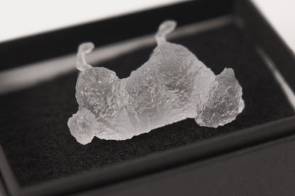 【3D Scan Art Series】トイプードル - Transparent Model (4cm) - PINSTUDIO Pet & Photo