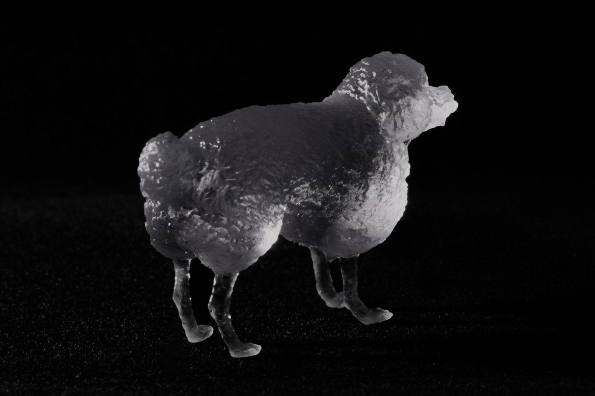 【3D Scan Art Series】トイプードル - Transparent Model (4cm) - PINSTUDIO Pet & Photo