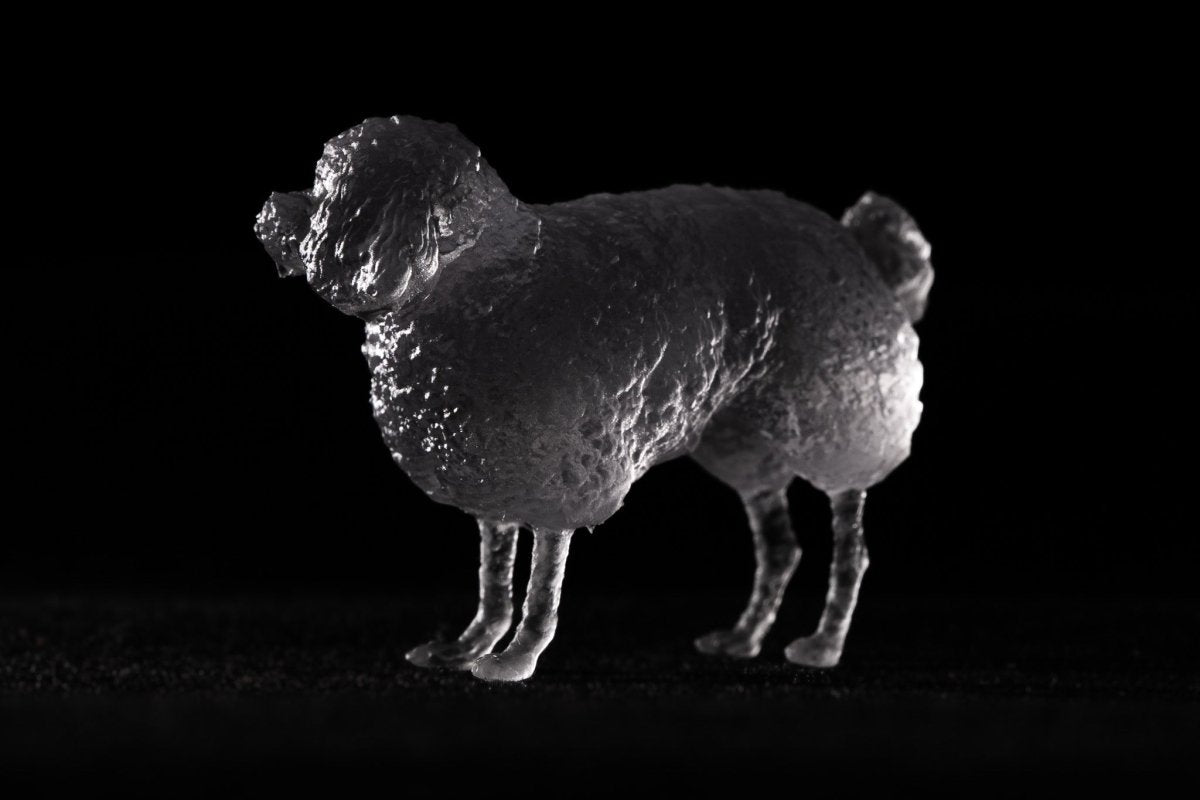 【3D Scan Art Series】トイプードル - Transparent Model (4cm) - PINSTUDIO Pet & Photo