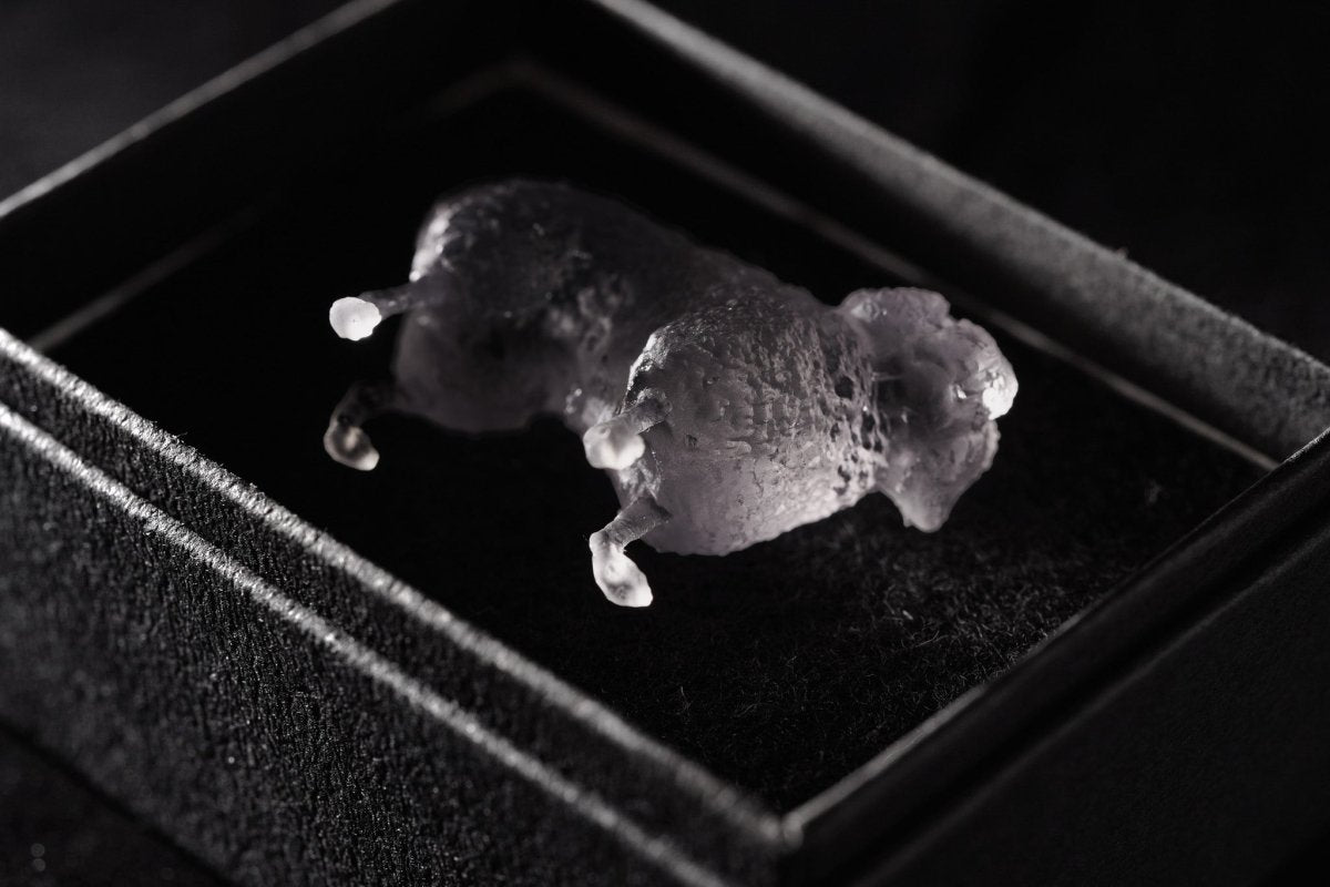 【3D Scan Art Series】トイプードル - Transparent Model (4cm) - PINSTUDIO Pet & Photo