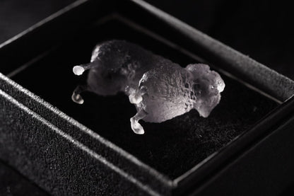 【3D Scan Art Series】トイプードル - Transparent Model (4cm) - PINSTUDIO Pet & Photo