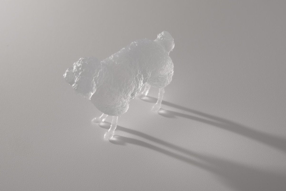 【3D Scan Art Series】トイプードル - Transparent Model (4cm) - PINSTUDIO Pet & Photo