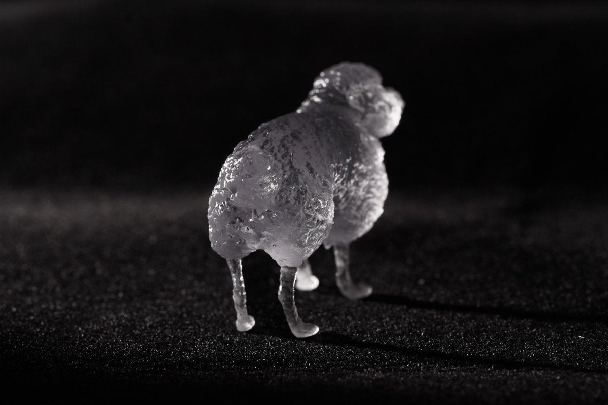 【3D Scan Art Series】トイプードル - Transparent Model (4cm) - PINSTUDIO Pet & Photo