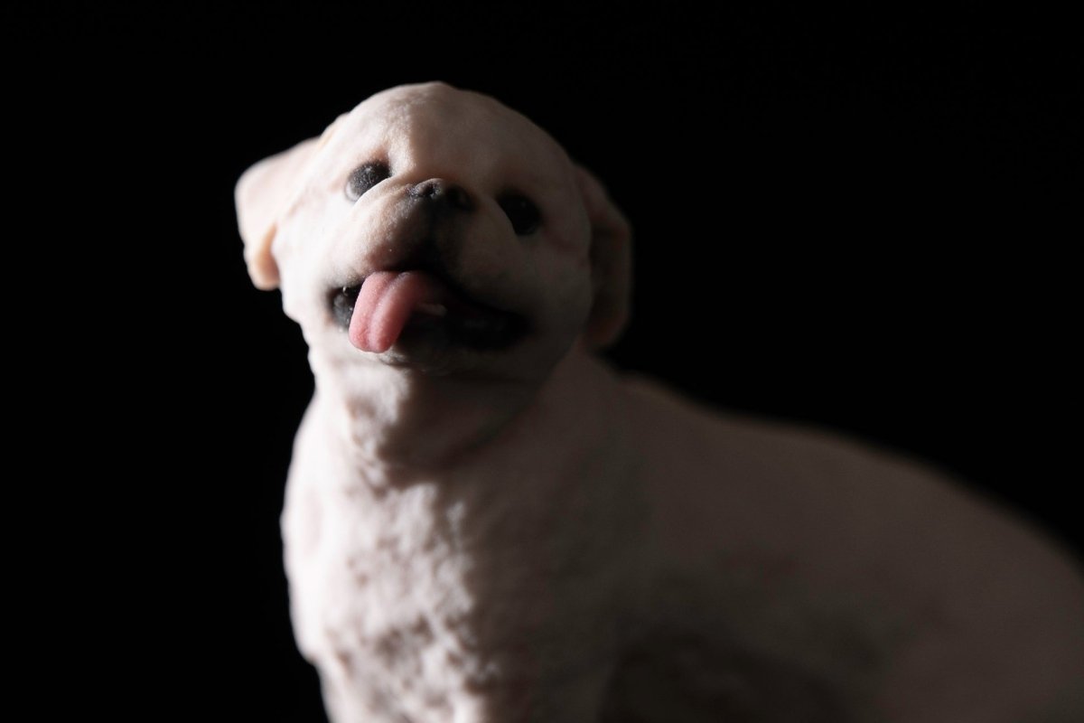 【期間限定】ムーチョ 3Dフィギュア（7cm）｜あの“長すぎる舌”も完全再現！Bombori限定アートパッケージ仕様 - PINSTUDIO Pet & Photo