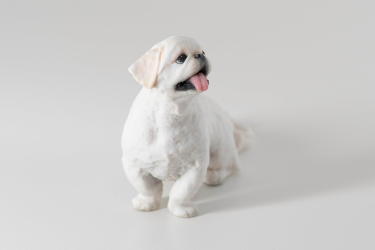 【期間限定】ムーチョ 3Dフィギュア（7cm）｜あの“長すぎる舌”も完全再現！Bombori限定アートパッケージ仕様 - PINSTUDIO Pet & Photo