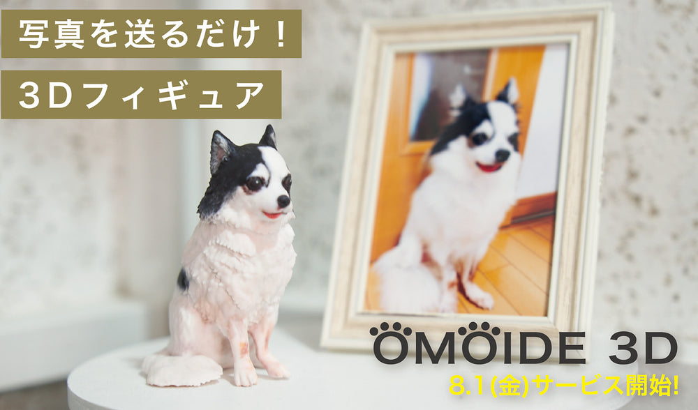 slide_image