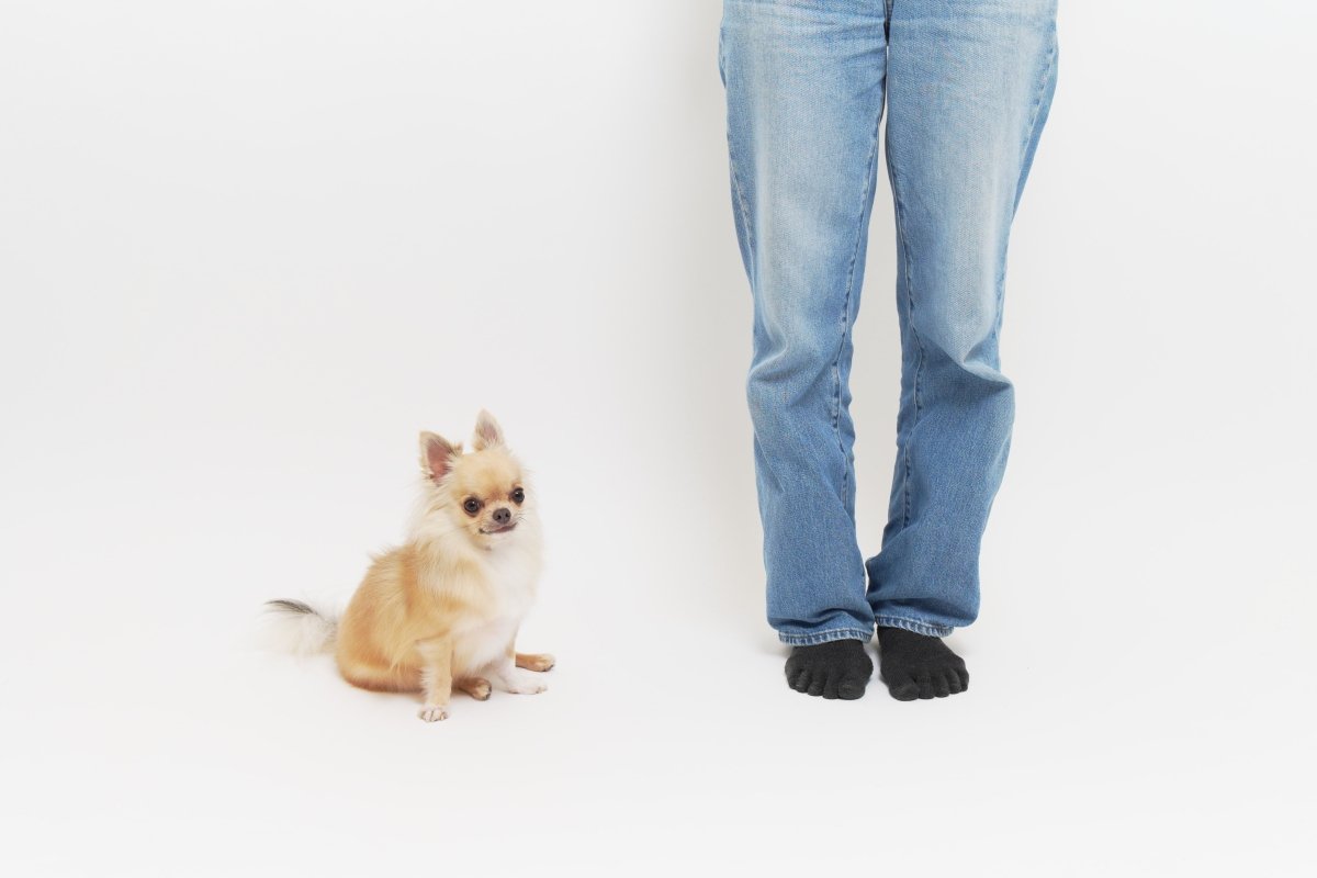Pet & Photo ペットとセルフ写真 (初台スタジオ) - PINSTUDIO