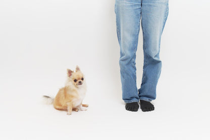 Pet & Photo ペットとセルフ写真 (初台スタジオ) - PINSTUDIO