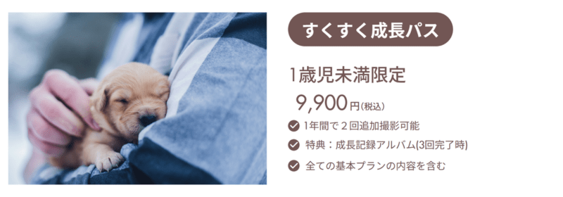 Pet Time Capsule| ペットタイムカプセル (東京都中野区) - PINSTUDIO Pet & Photo