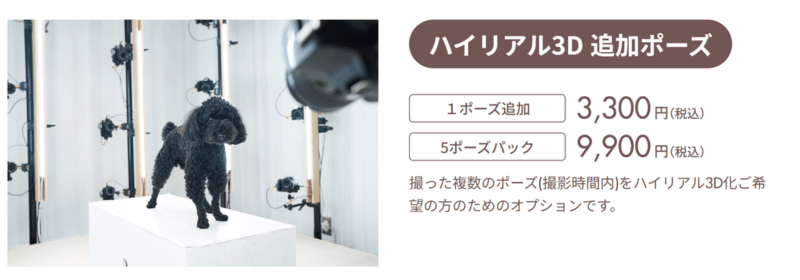 Pet Time Capsule| ペットタイムカプセル (東京都中野区) - PINSTUDIO Pet & Photo