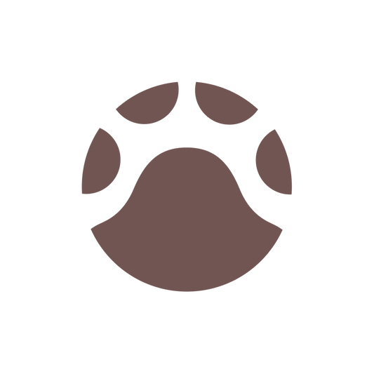 Pet Time Capsule| ペットタイムカプセル (東京都中野区) - PINSTUDIO Pet & Photo