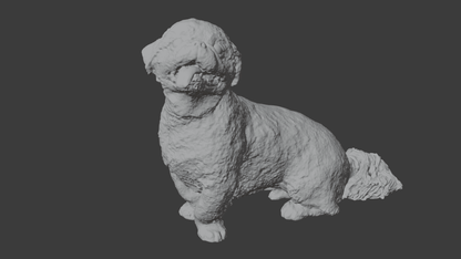 【Pet Time Capsule Light】追加オプション - PINSTUDIO Pet & Photo