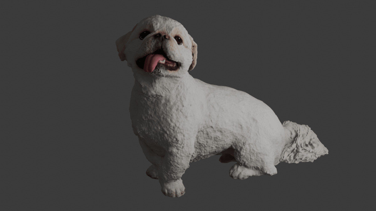 【Pet Time Capsule Light】追加オプション - PINSTUDIO Pet & Photo