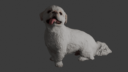 【Pet Time Capsule Light】追加オプション - PINSTUDIO Pet & Photo