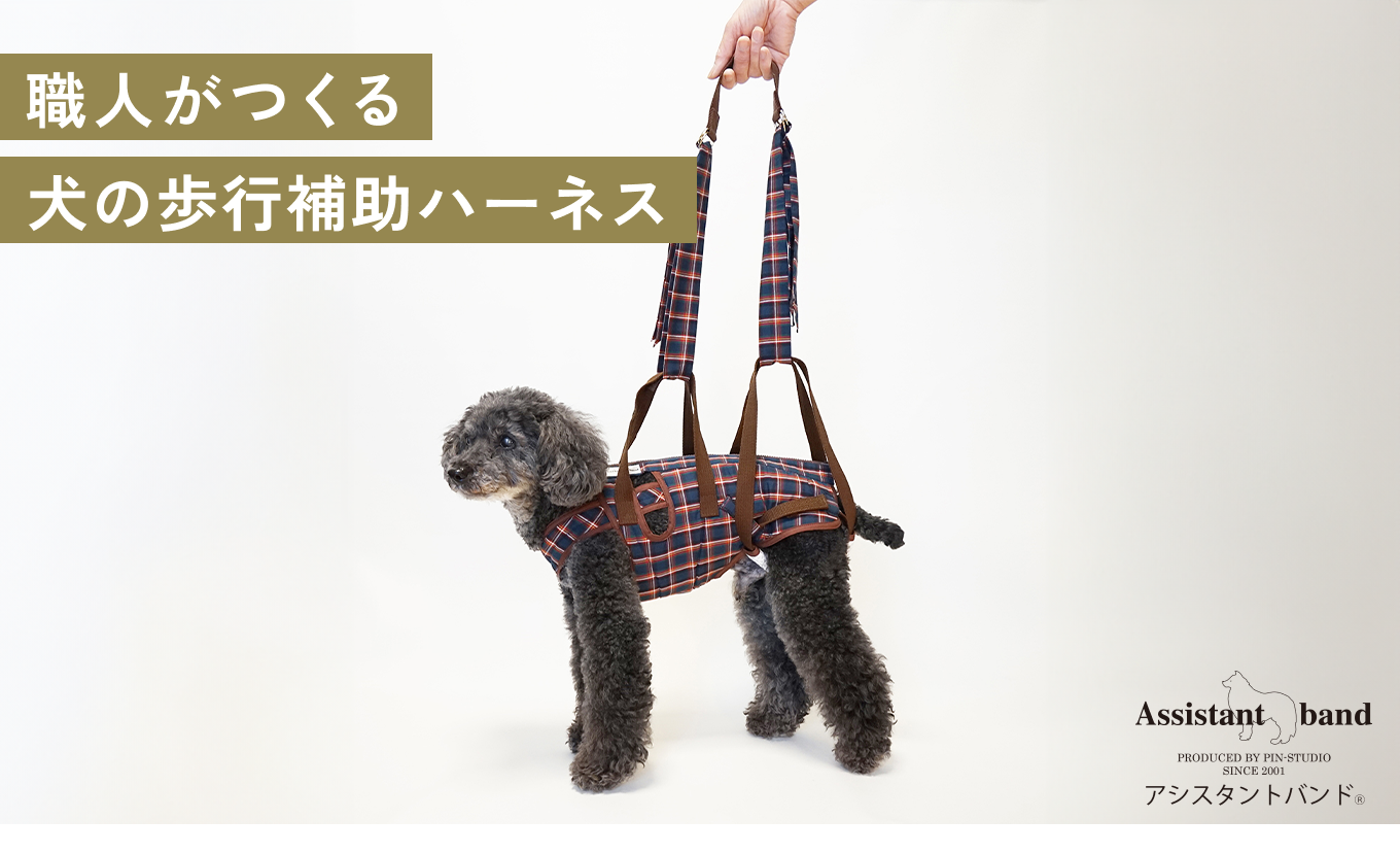 アイアンバロン　着たままねんね　全身　大型犬L アイアンバロン 大型犬着たままねんねハニカムLサイズ 着たままねんね