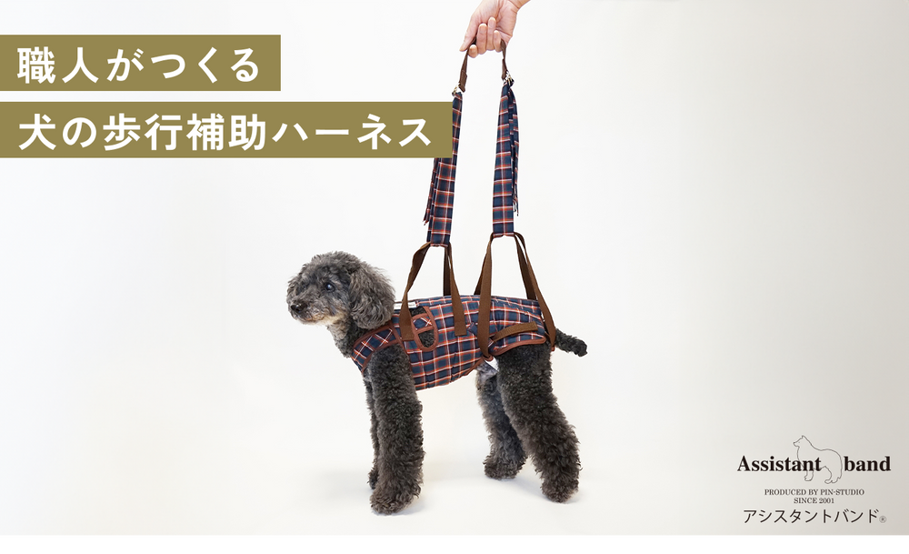ハニカム胴着 着たままねんねのハニカム胴着(大型犬用歩行補助 ハニカム胴着 着たままねんねのハニカム胴着(大型犬用歩行補助