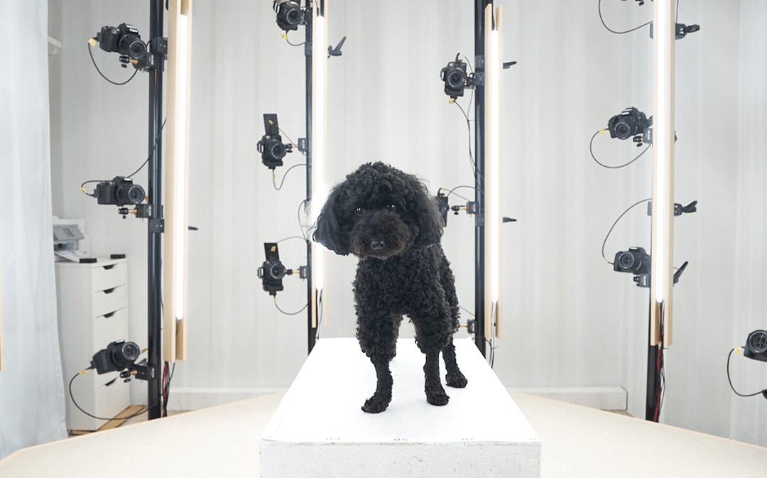 (TEST)Pet & 3D ペットの3Dスキャン (東中野) PINSTUDIO Pet & Photo